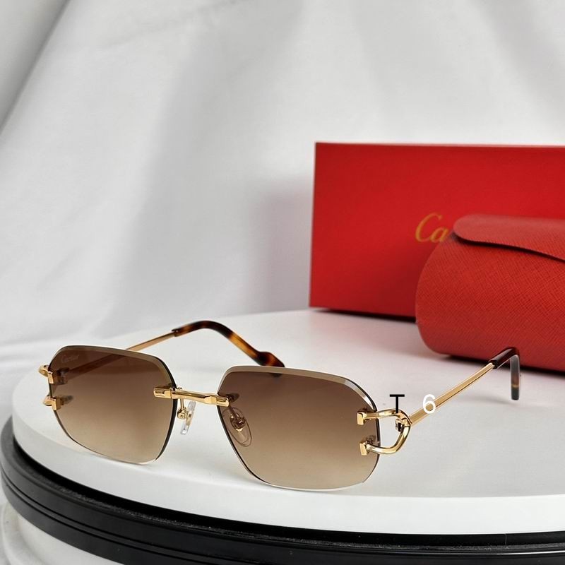 Cartier Sunglasses 502